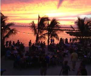 Live-Music-Under-The-Palms-Mackys-Bayside-Bar-Grille-14 Live-Music-Under-The-Palms-Mackys-Bayside-Bar-Grille-14